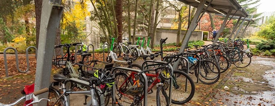 Många cyklar parkerade under tak vid en gångväg i höstmiljö